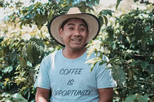 A Nod To Caficultores (Coffee Farmers) I Am Grounded
